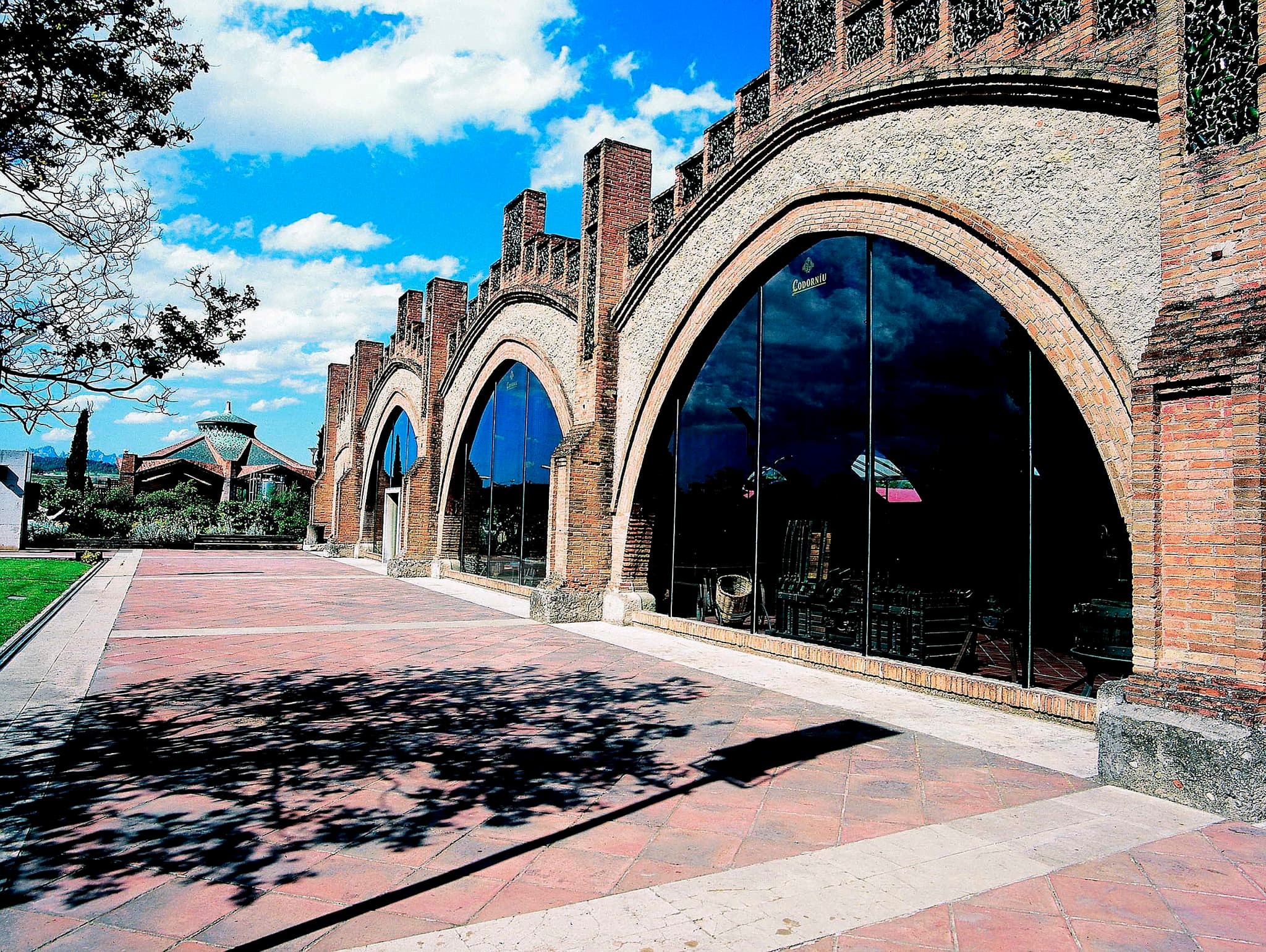 Carlyle activa venta de Codorníu