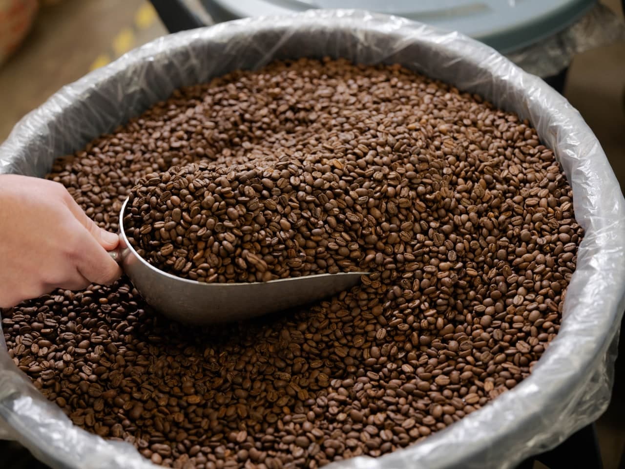 La Amarga Verdad del Café: Por Qué Su Precio Se Dispara Sin Retorno a la Vista