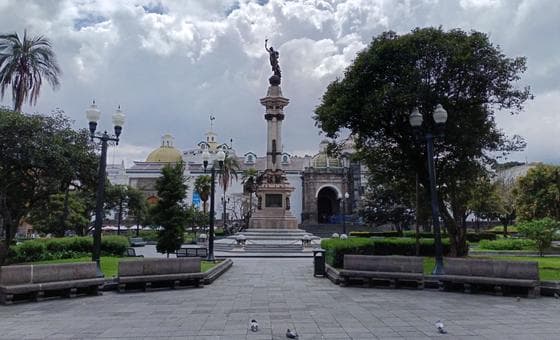 Ecuador en la Sombra: Desapariciones Forzadas y la Alarma de la ONU